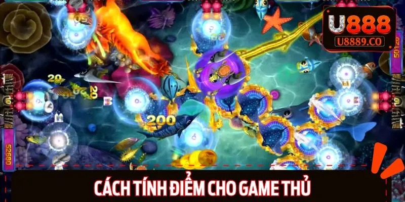 Hiểu rõ cách tính điểm trước khi tham gia