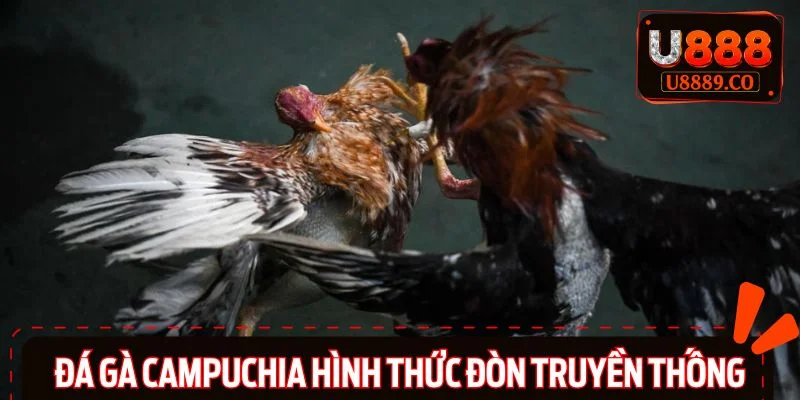 Hình thức đòn truyền thống được hội viên yêu thích