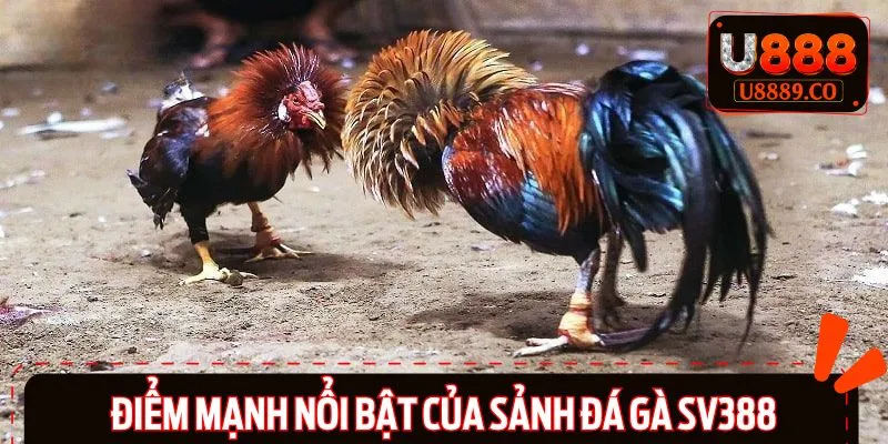 Ưu điểm khi tham gia cá cược tại SV388