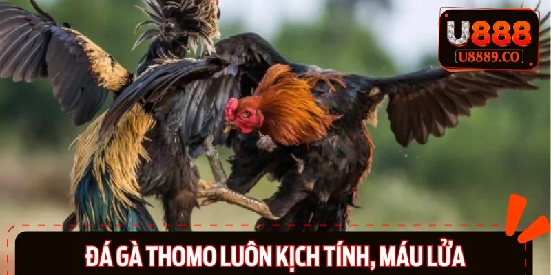 Mỗi giây trôi qua trong trận đấu đều vô cùng kịch tính