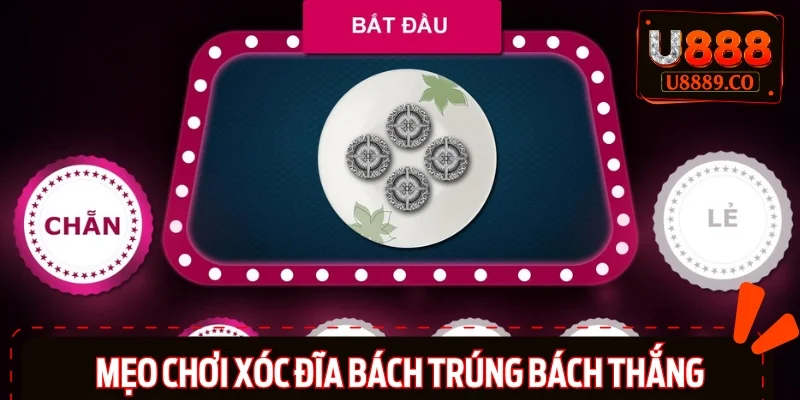 Top 5 kinh nghiệm do cao thủ lâu năm truyền lại