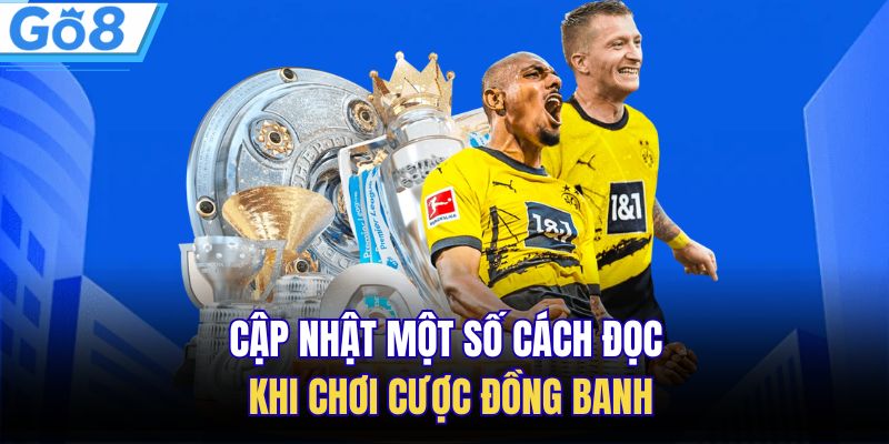 Cập nhật một số cách đọc khi chơi cược đồng banh